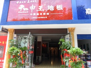 湖北孝感李总店