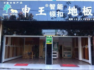 湖北应山董总店1